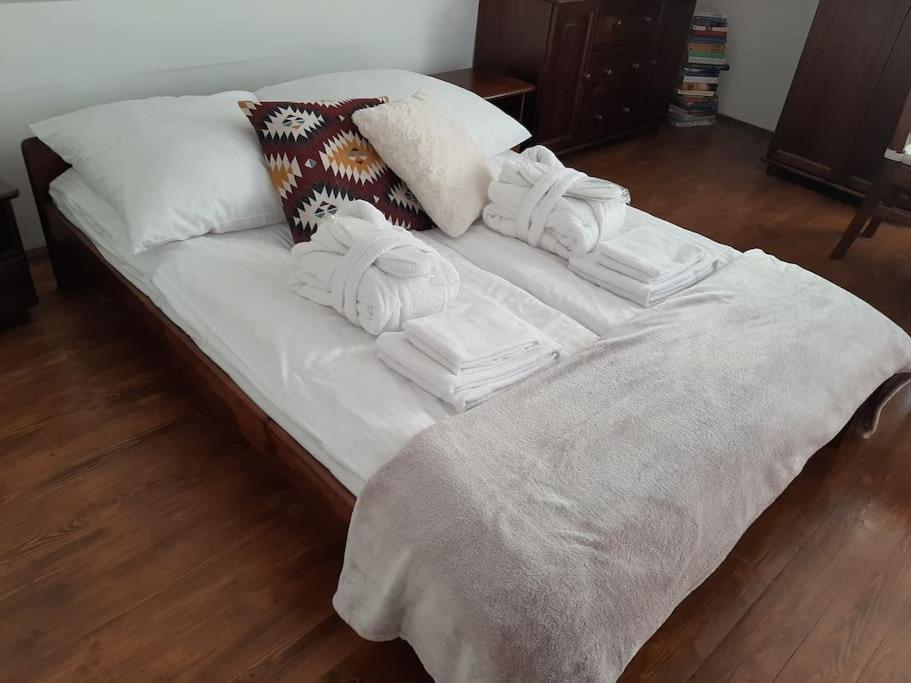 Brzeznica  Dom Na Polanie 빌라 외부 사진